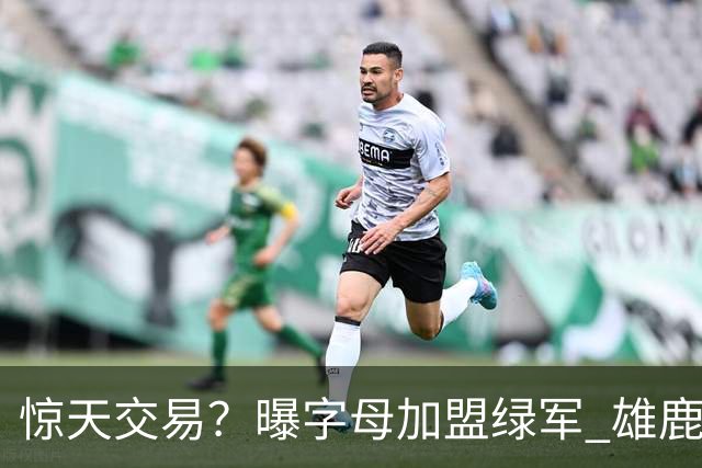 惊天交易？曝字母加盟绿军 雄鹿为布朗寻找第三方