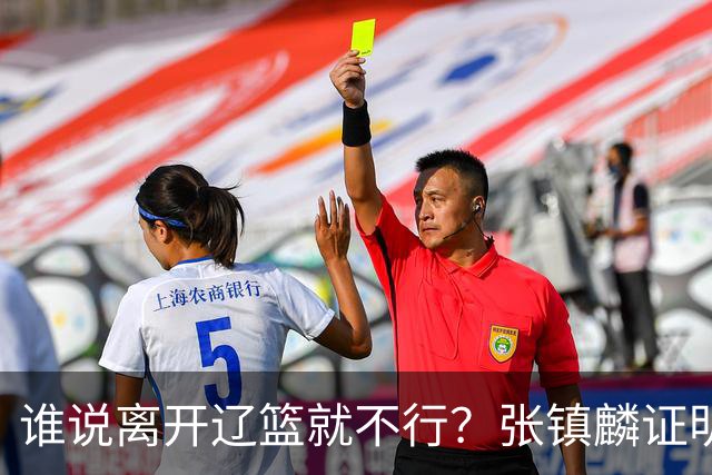 谁说离开辽篮就不行？张镇麟证明价值，赵继伟或效仿联手周琦冲冠